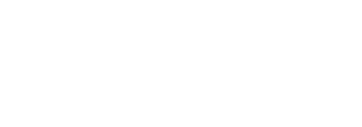 Viasto Unternehmenszeichen